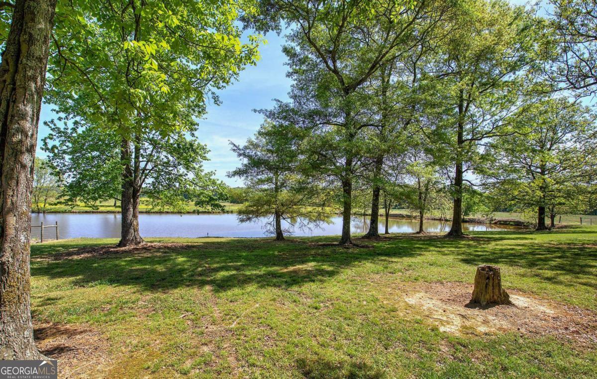 486 County Line Road Property Photo 3