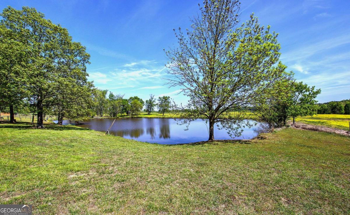 486 County Line Road Property Photo 8