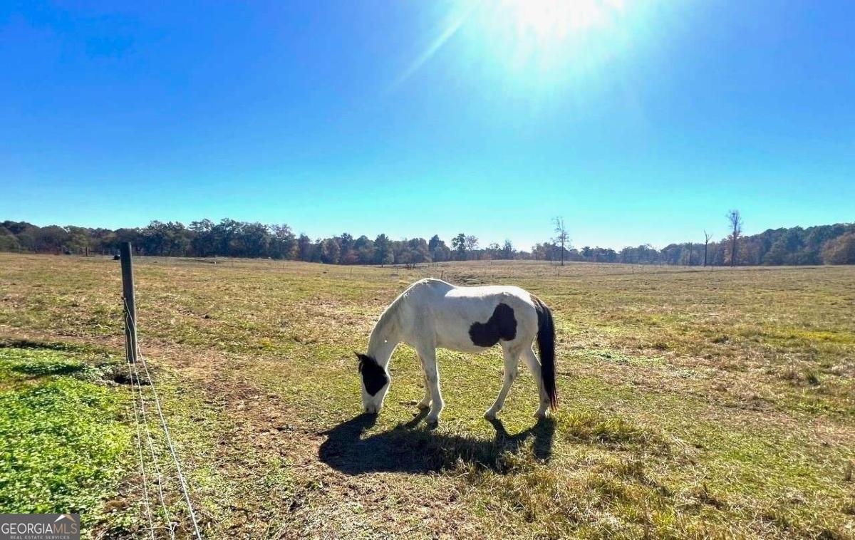 486 County Line Road Property Photo 18