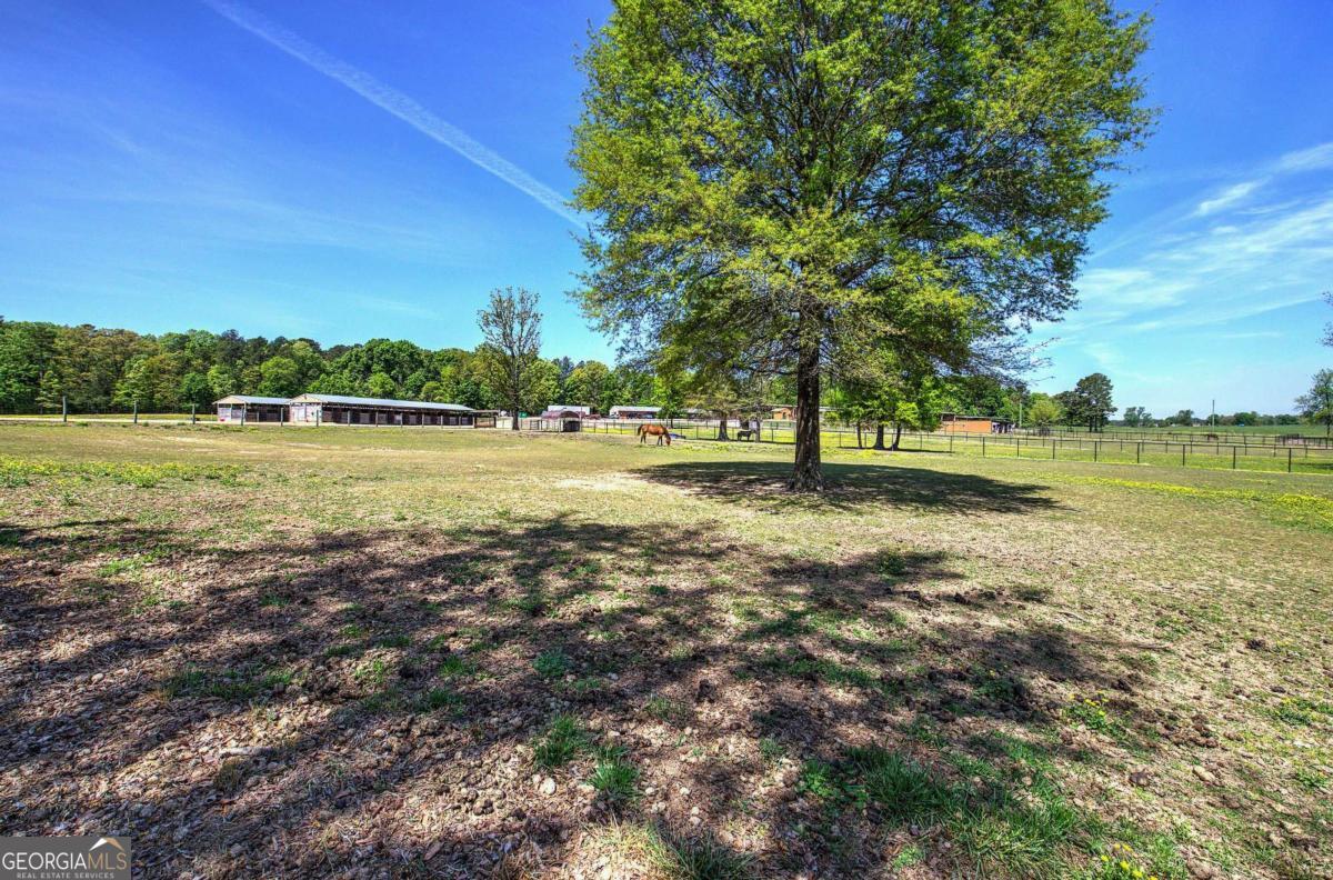 486 County Line Road Property Photo 19
