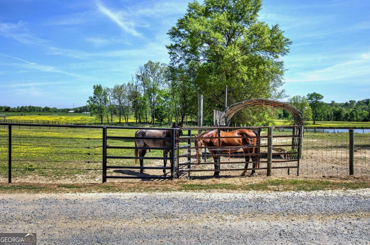 486 County Line Road Property Photo 32