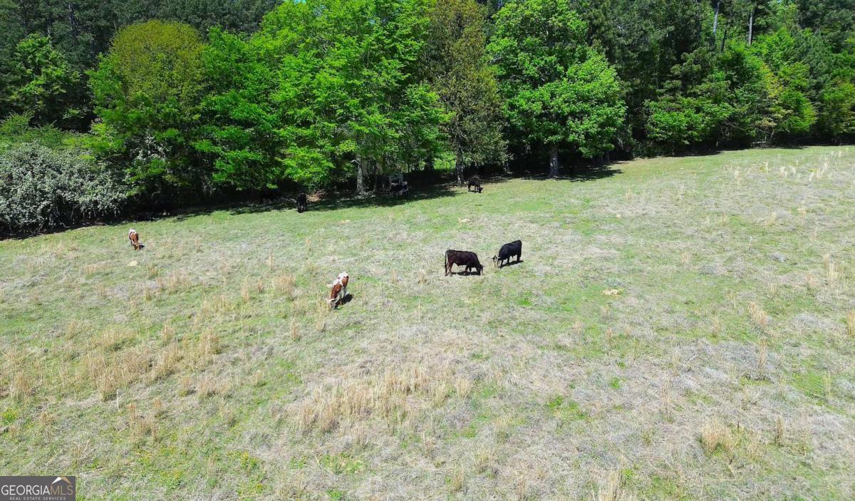 486 County Line Road Property Photo 33