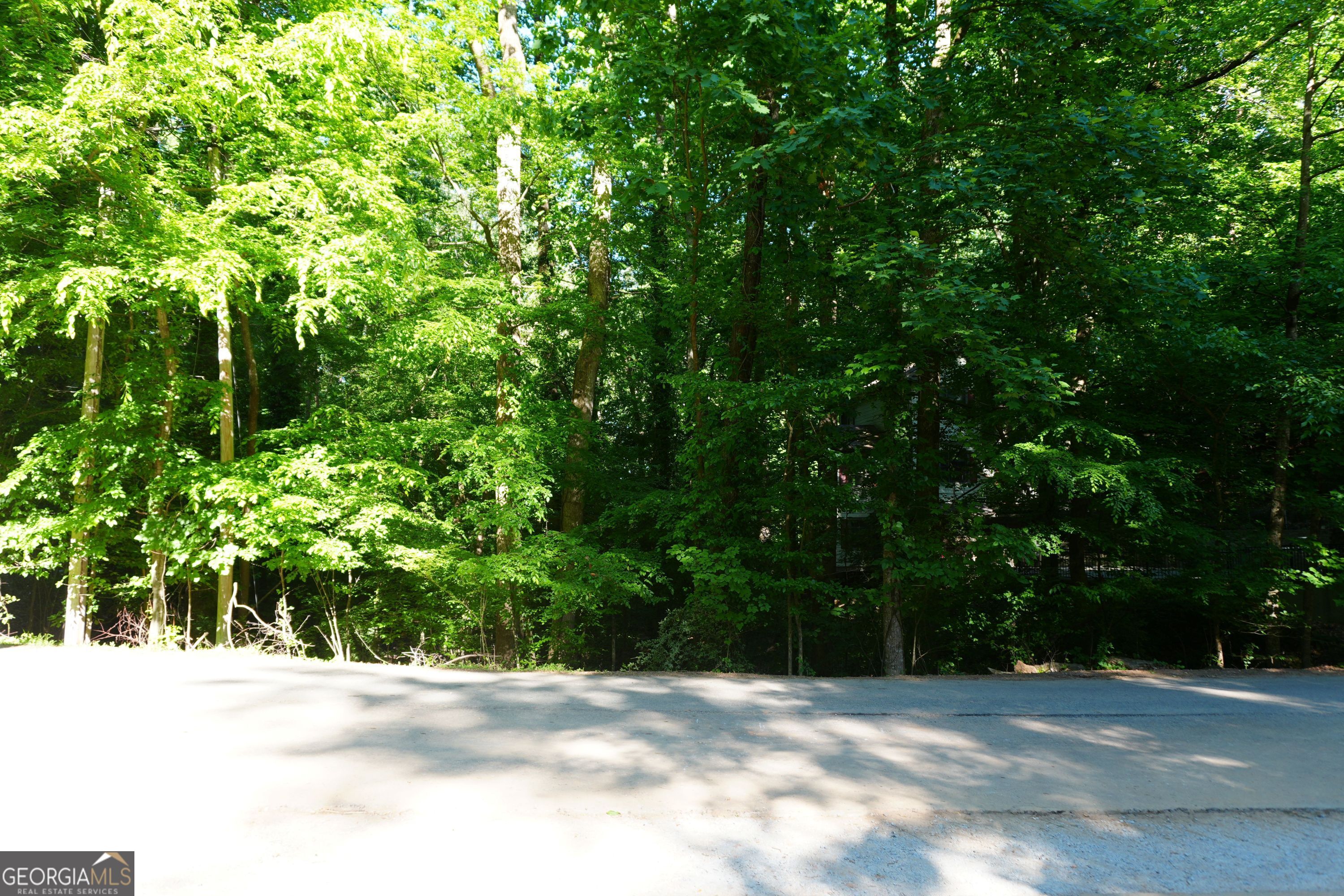 0 Lakeside Trail Property Photo 2
