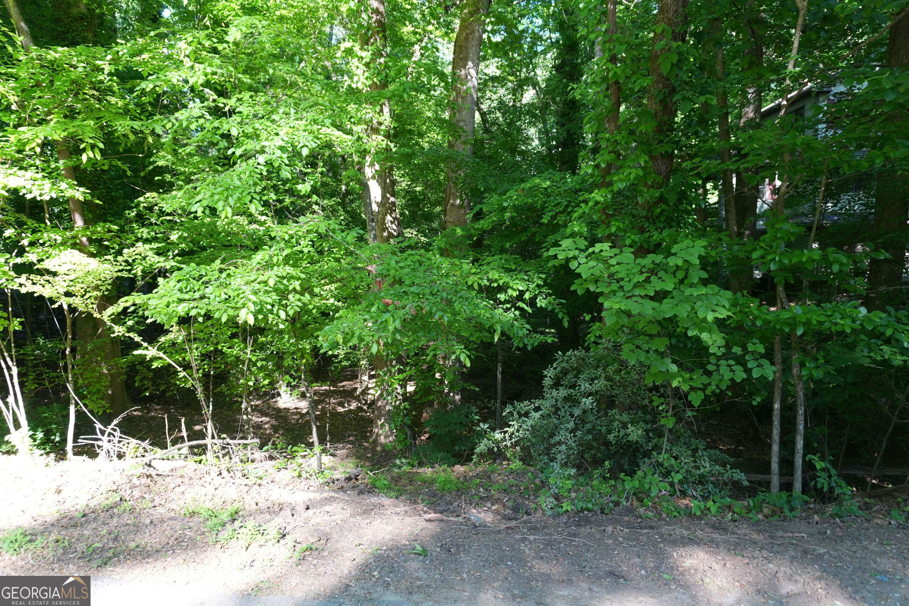 0 Lakeside Trail Property Photo 3