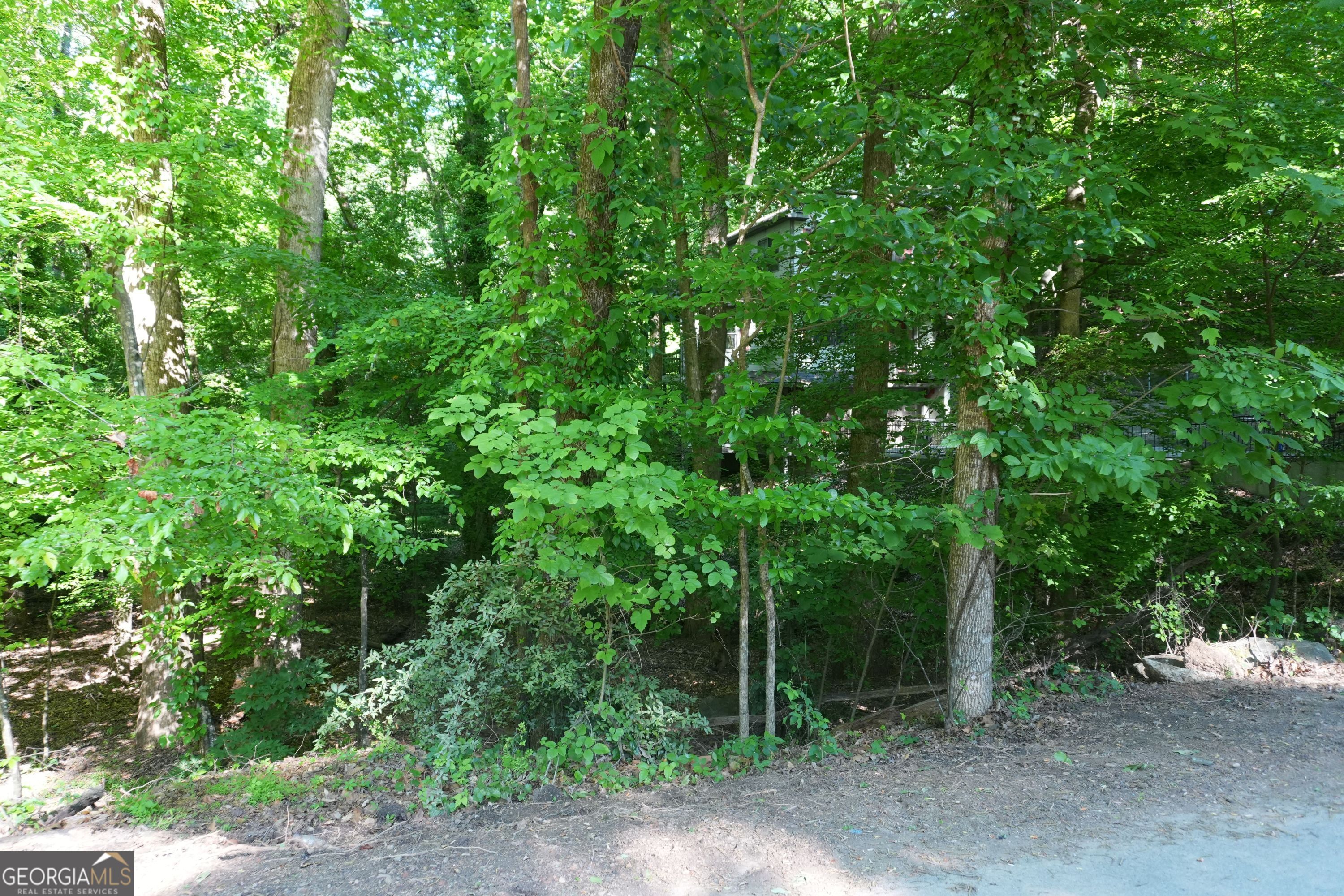 0 Lakeside Trail Property Photo 4