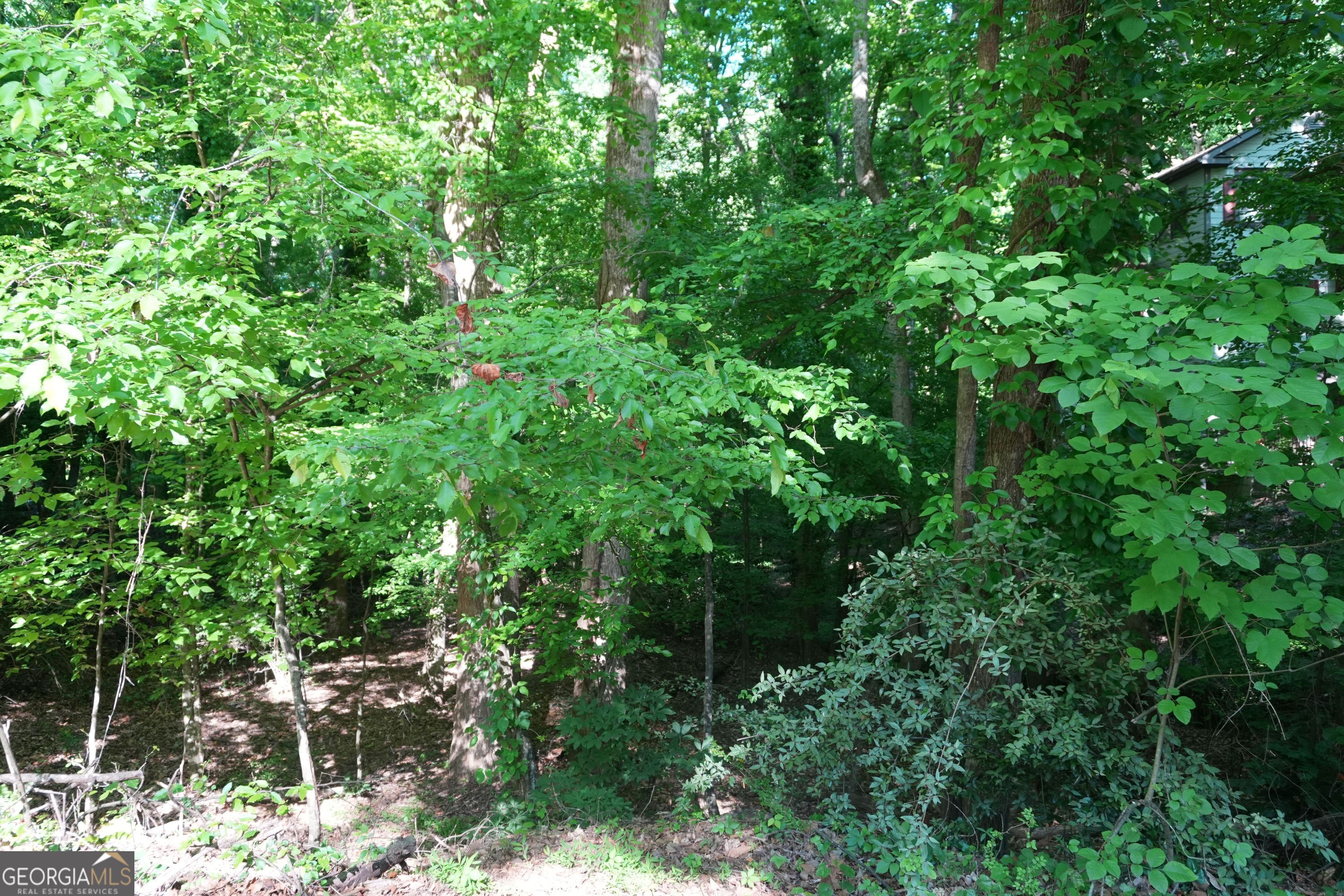 0 Lakeside Trail Property Photo 5