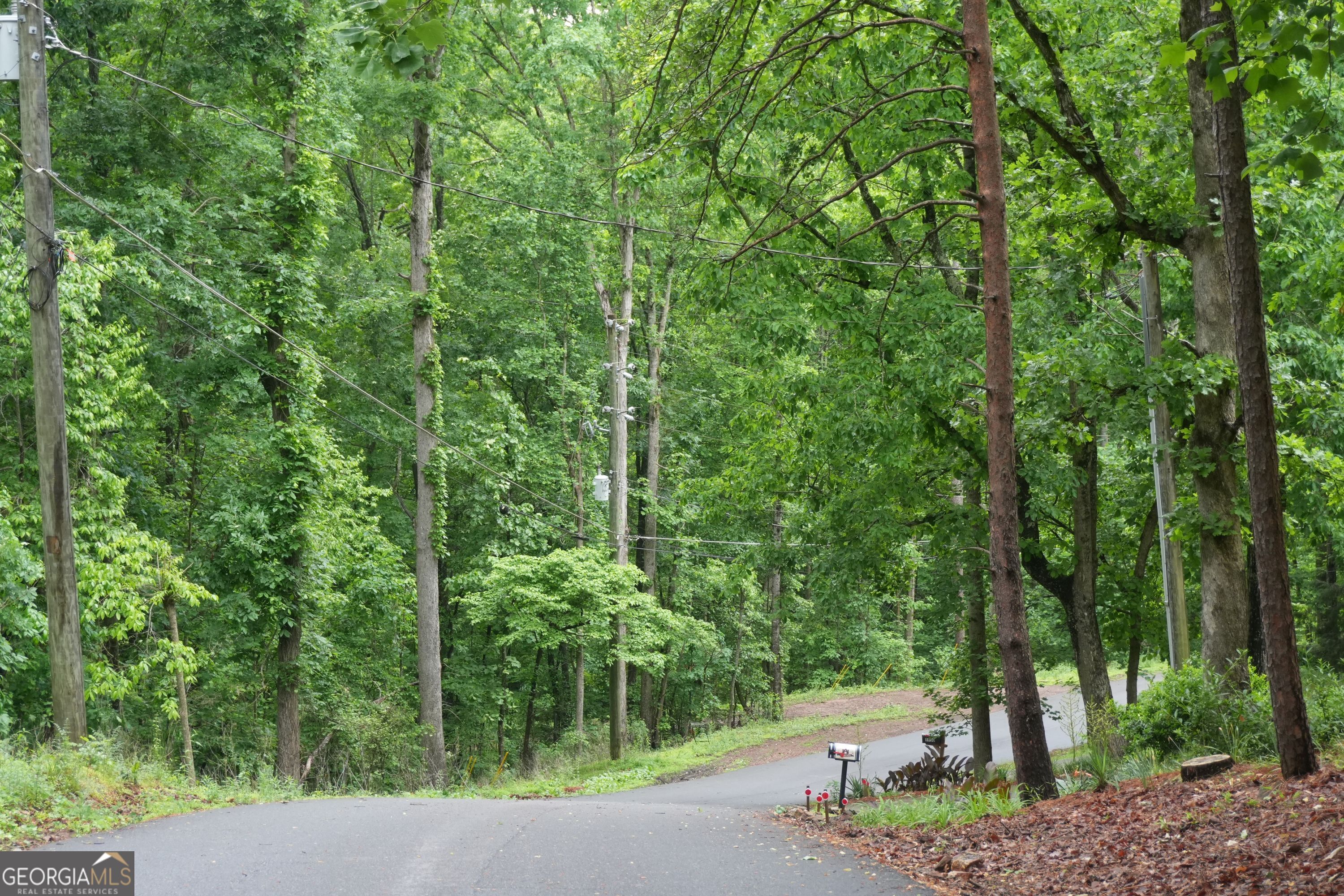 0 Quail Mountain Trail Property Photo 3