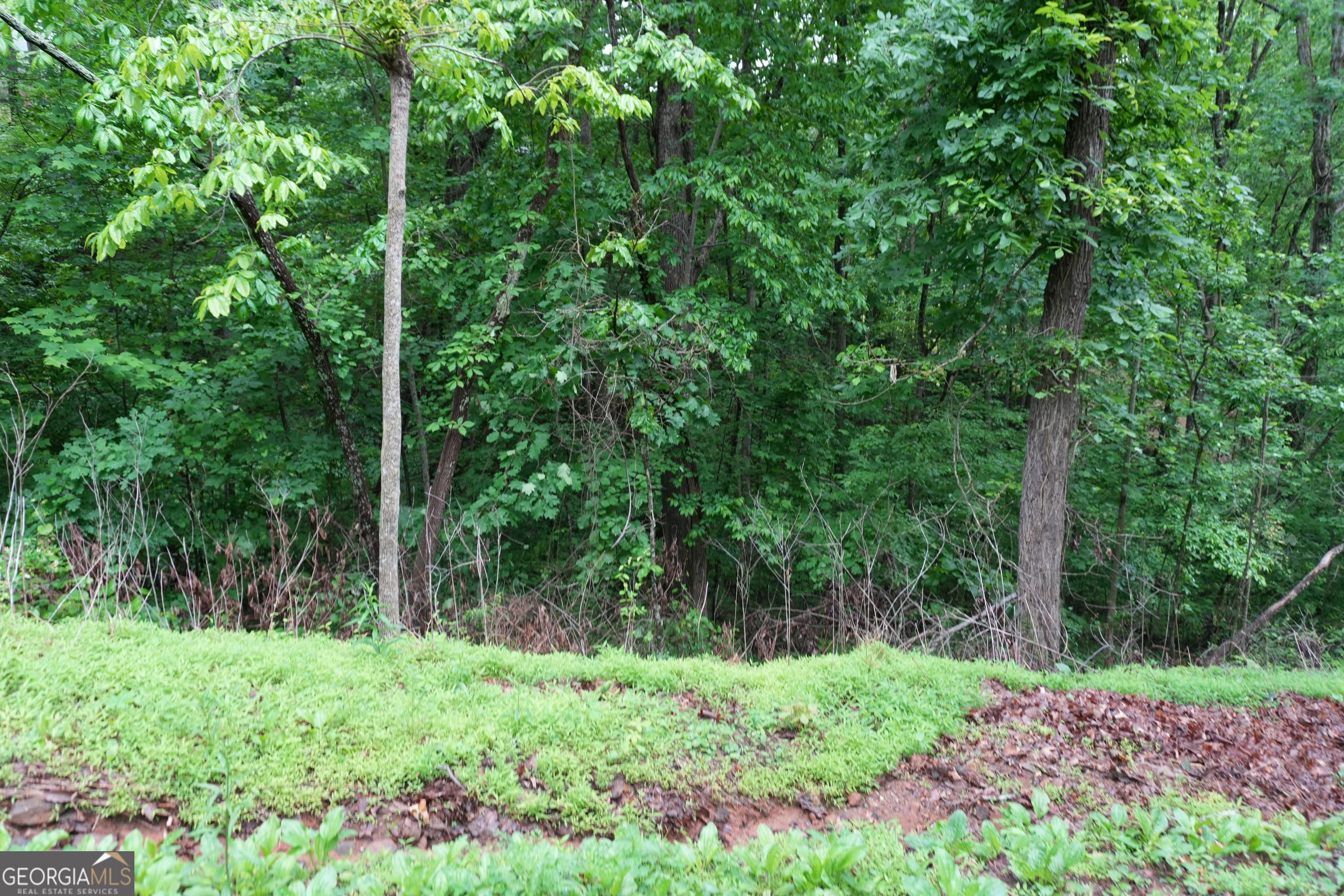 0 Quail Mountain Trail Property Photo 4