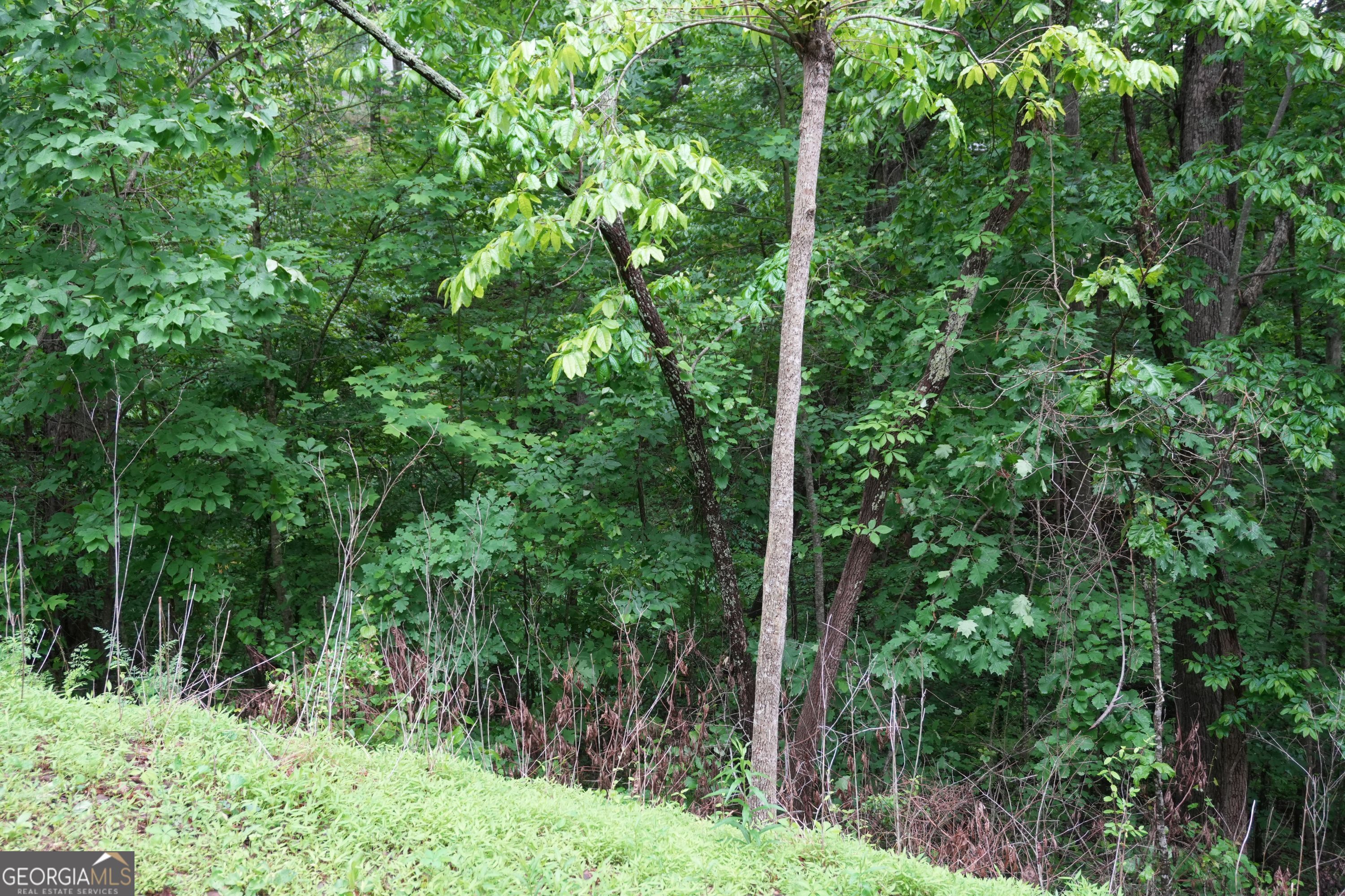0 Quail Mountain Trail Property Photo 5