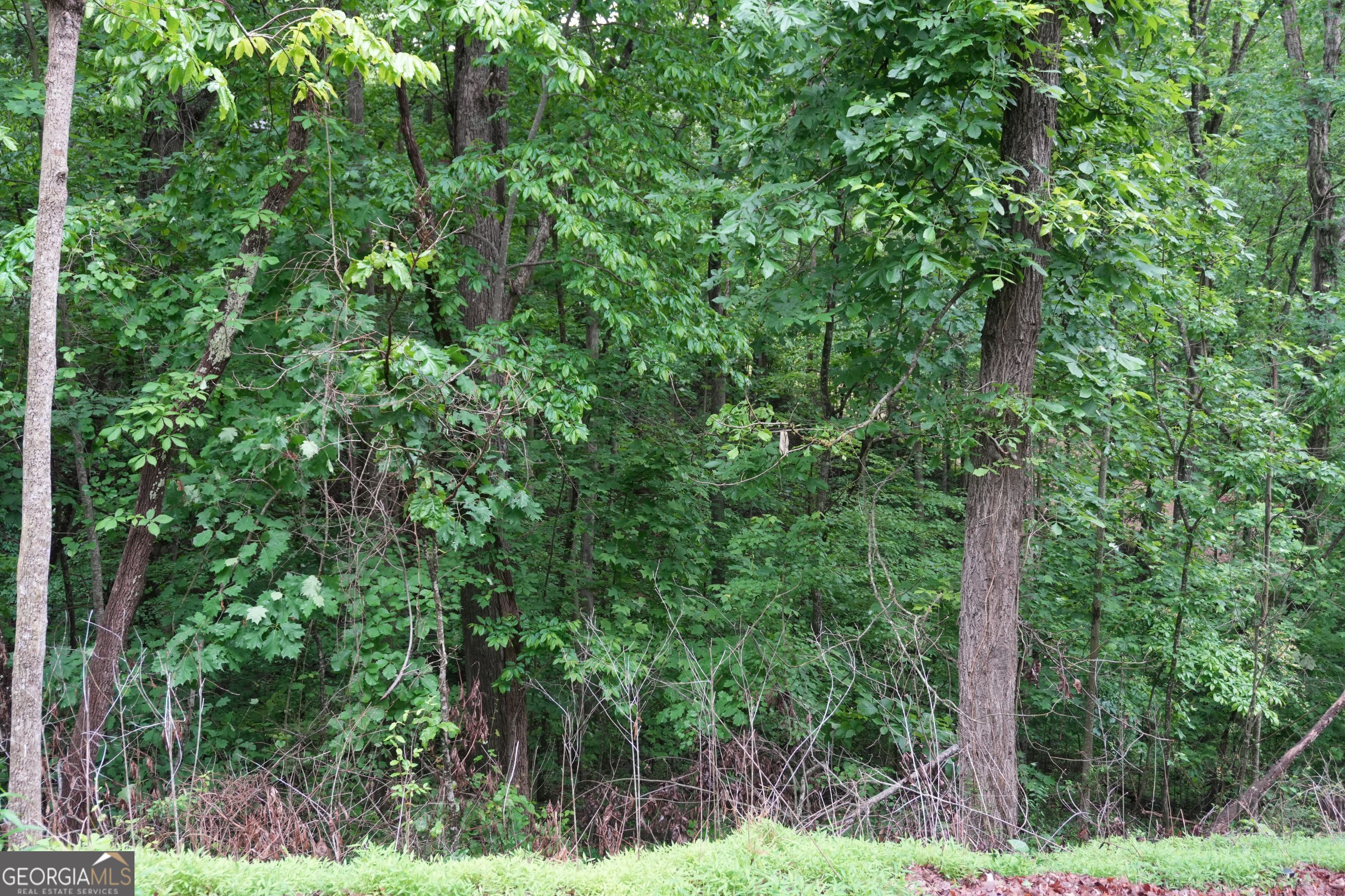 0 Quail Mountain Trail Property Photo 6