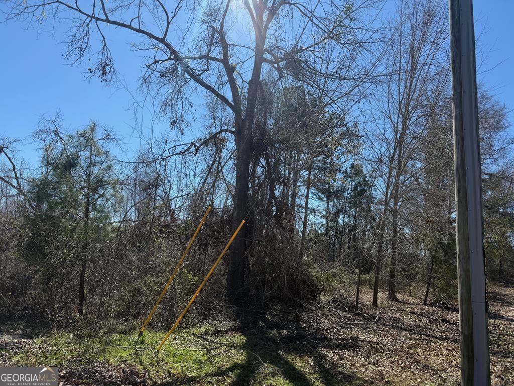 0 Wragler Trail (lot) Property Photo 1