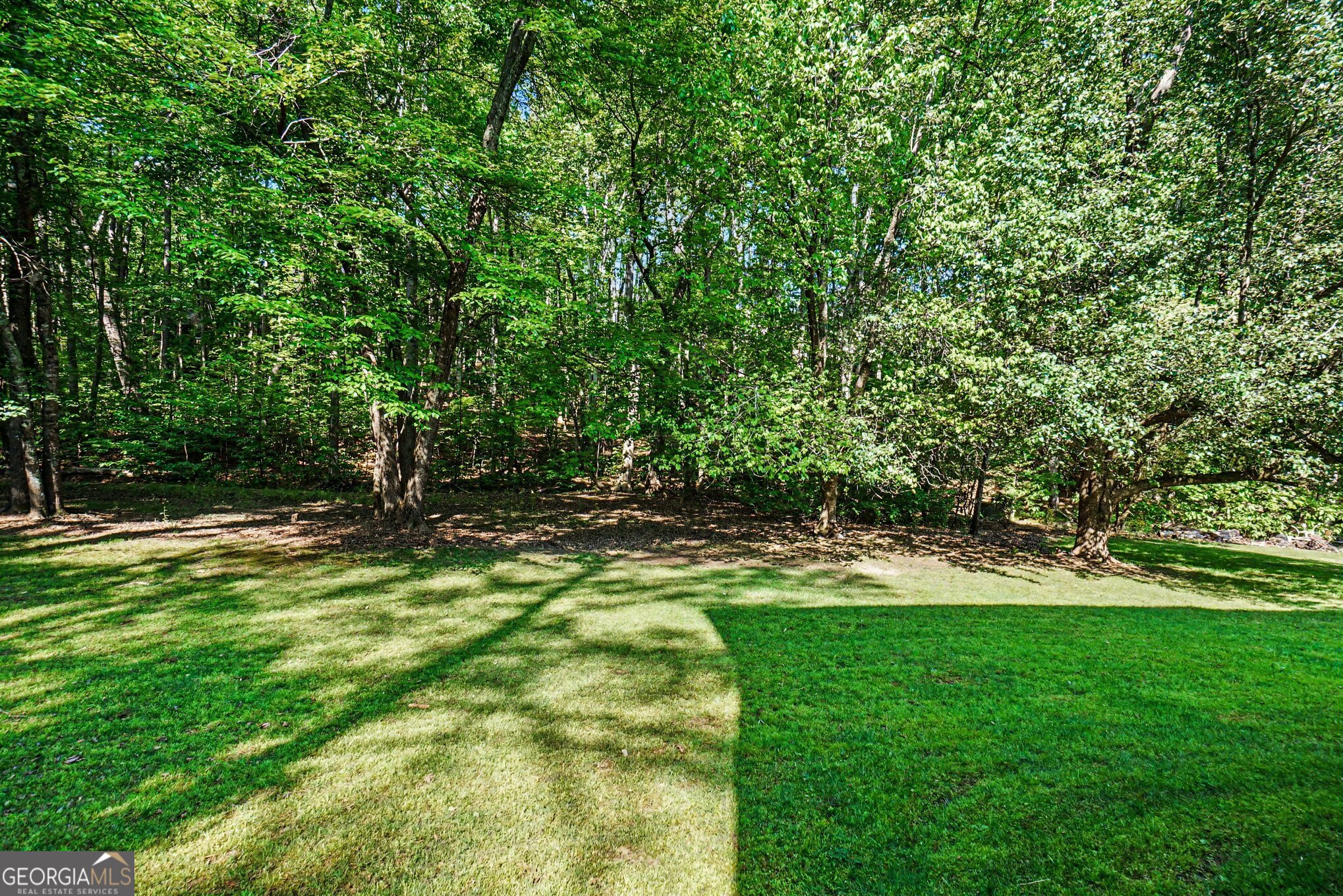 4025 Bent Willow Lane Property Photo 3