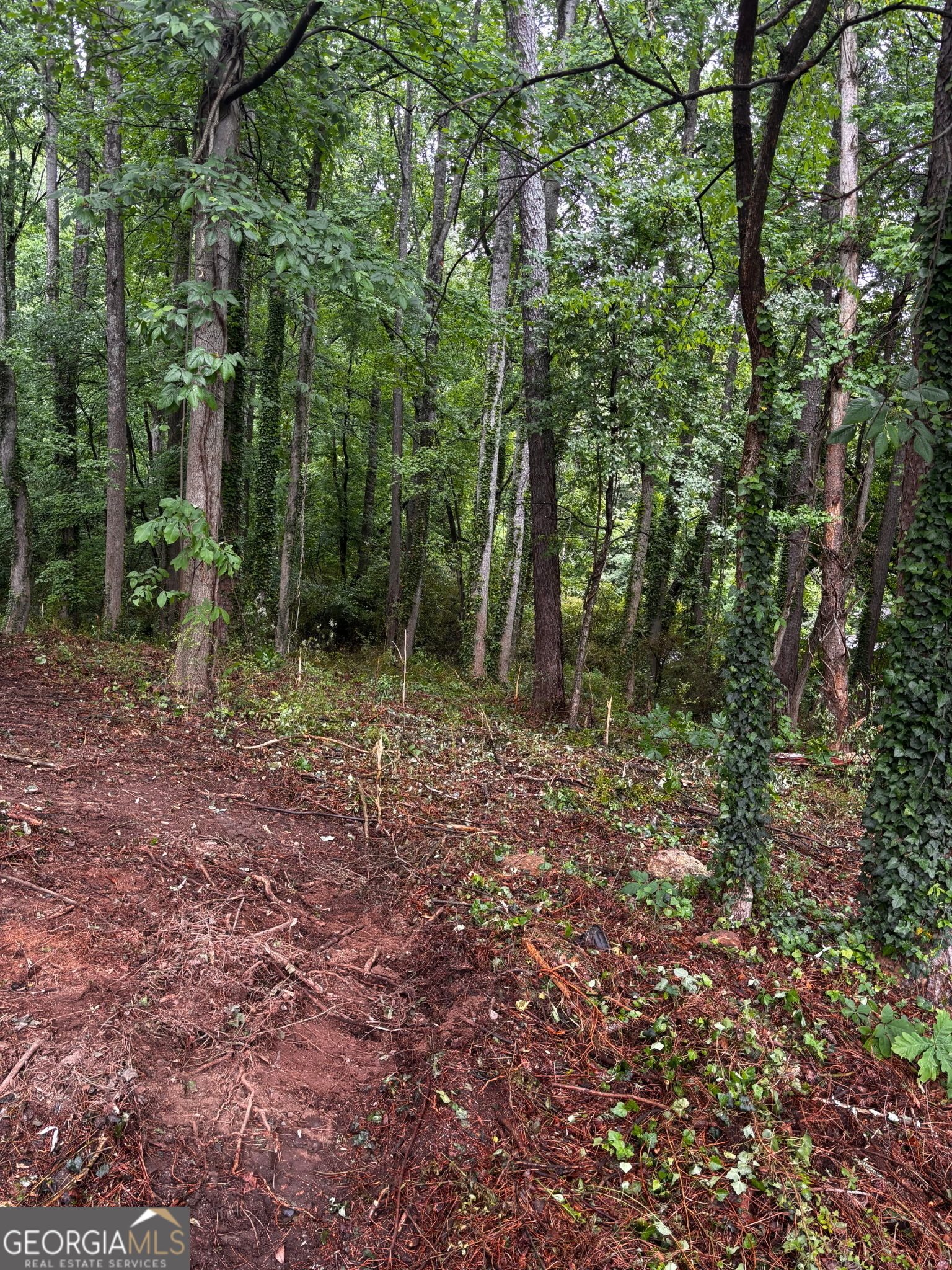 0 Ryman Ridge Property Photo 3
