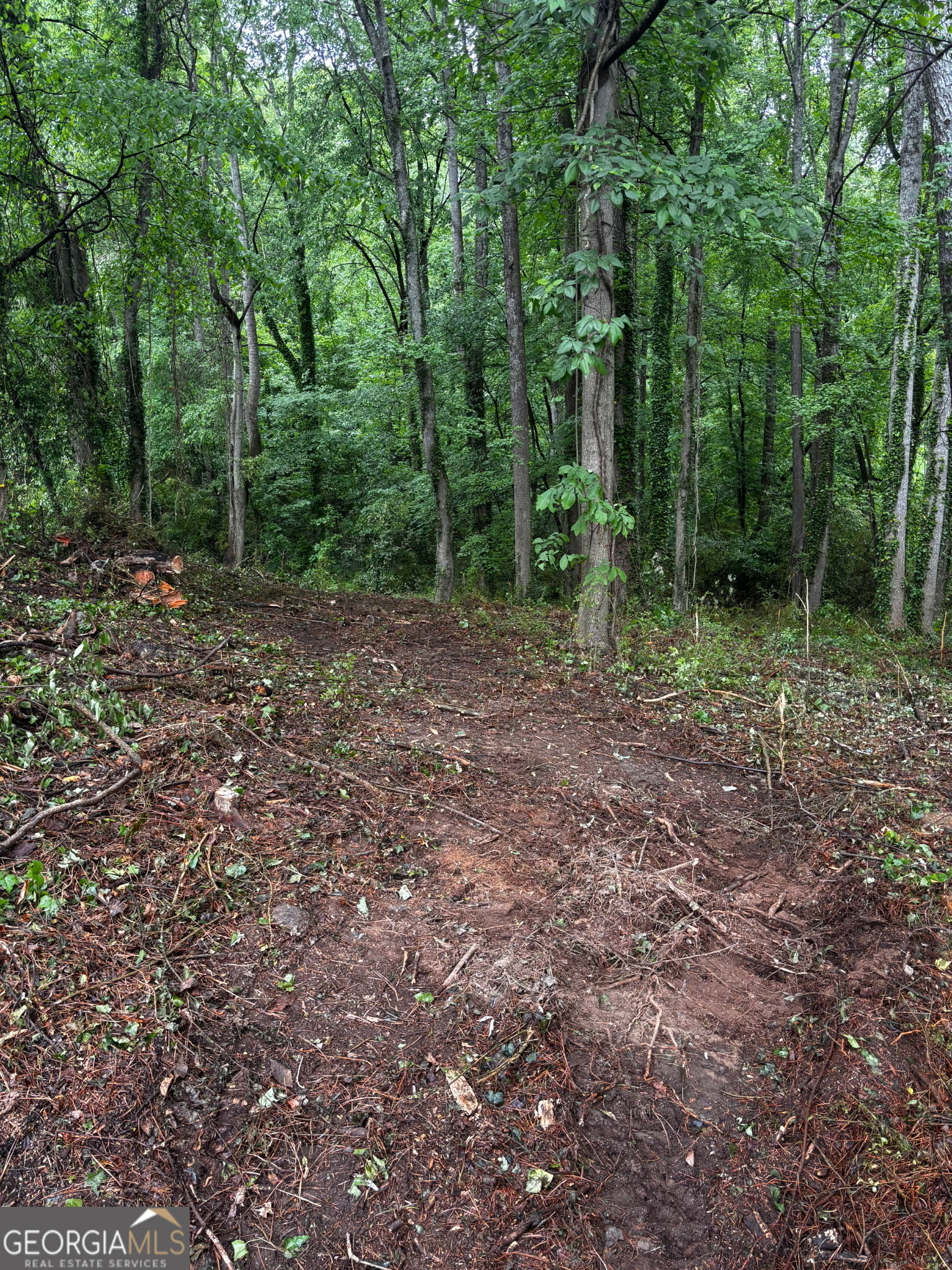 0 Ryman Ridge Property Photo 4