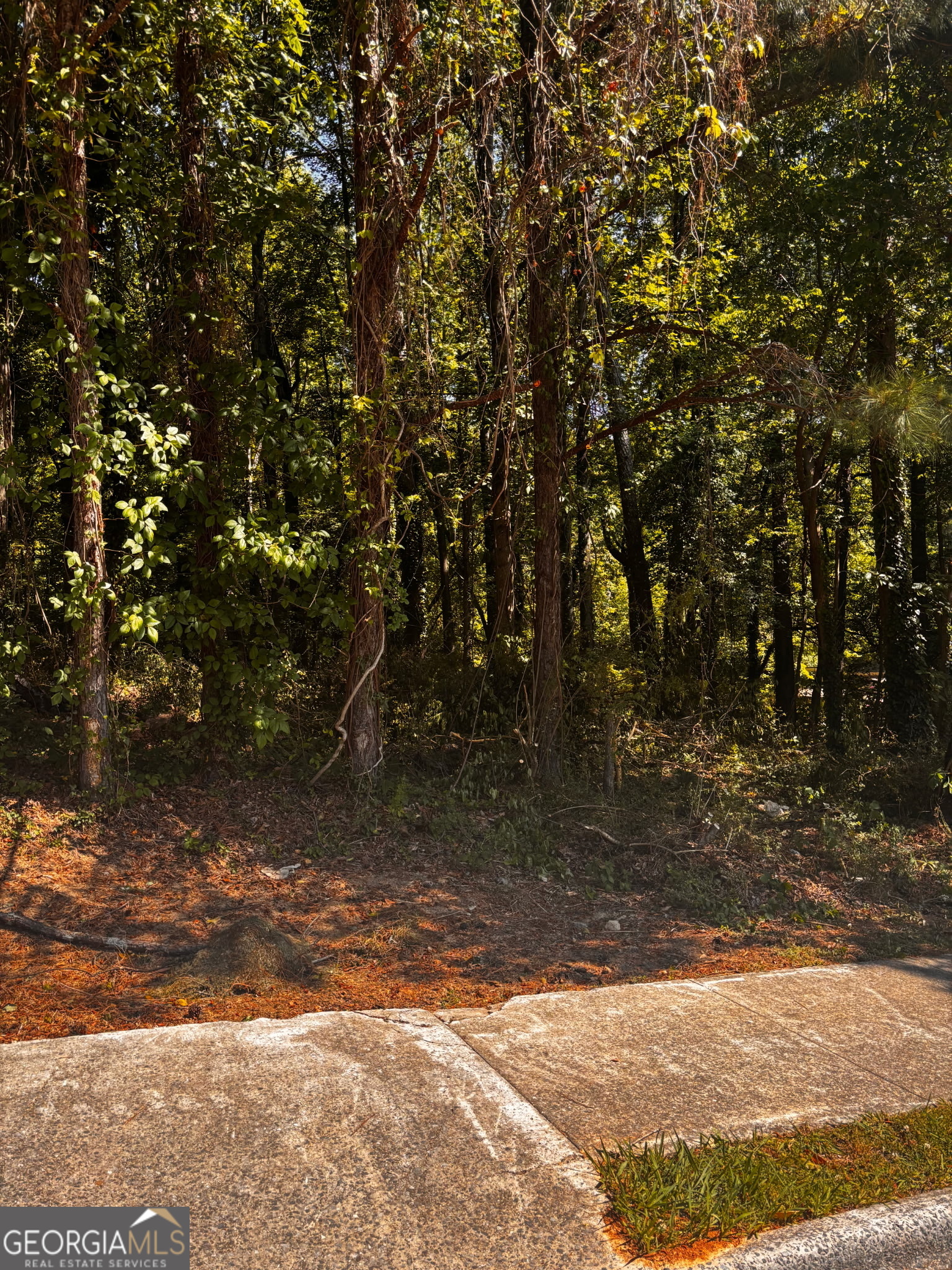 0 Ryman Ridge Property Photo 6
