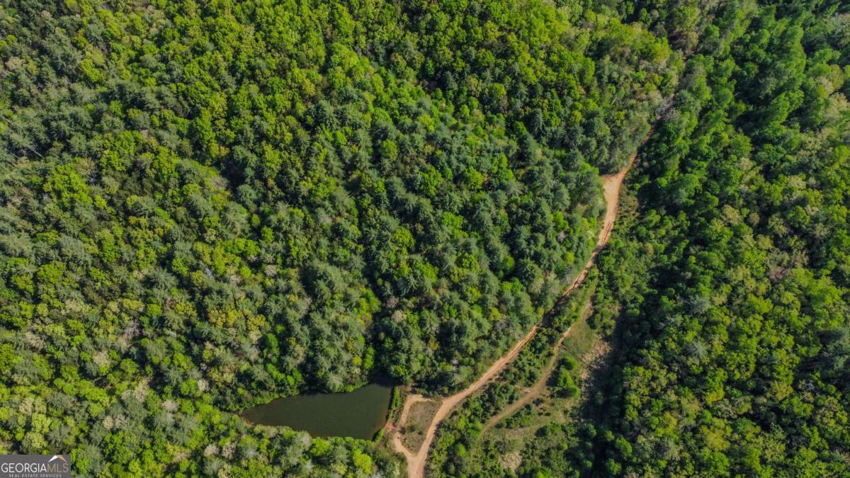 80 Acres Valley Lake Road Property Photo 4
