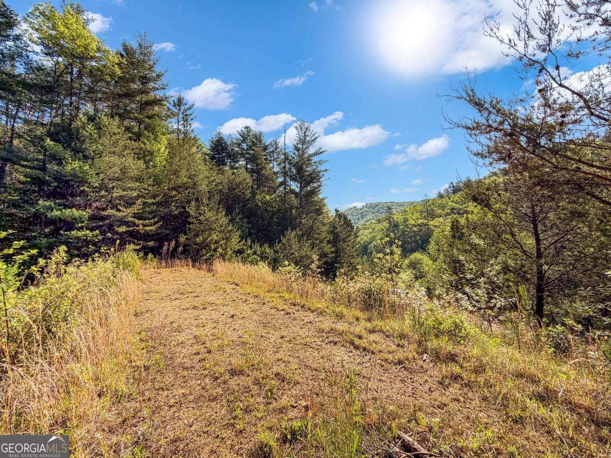 80 Acres Valley Lake Road Property Photo 6