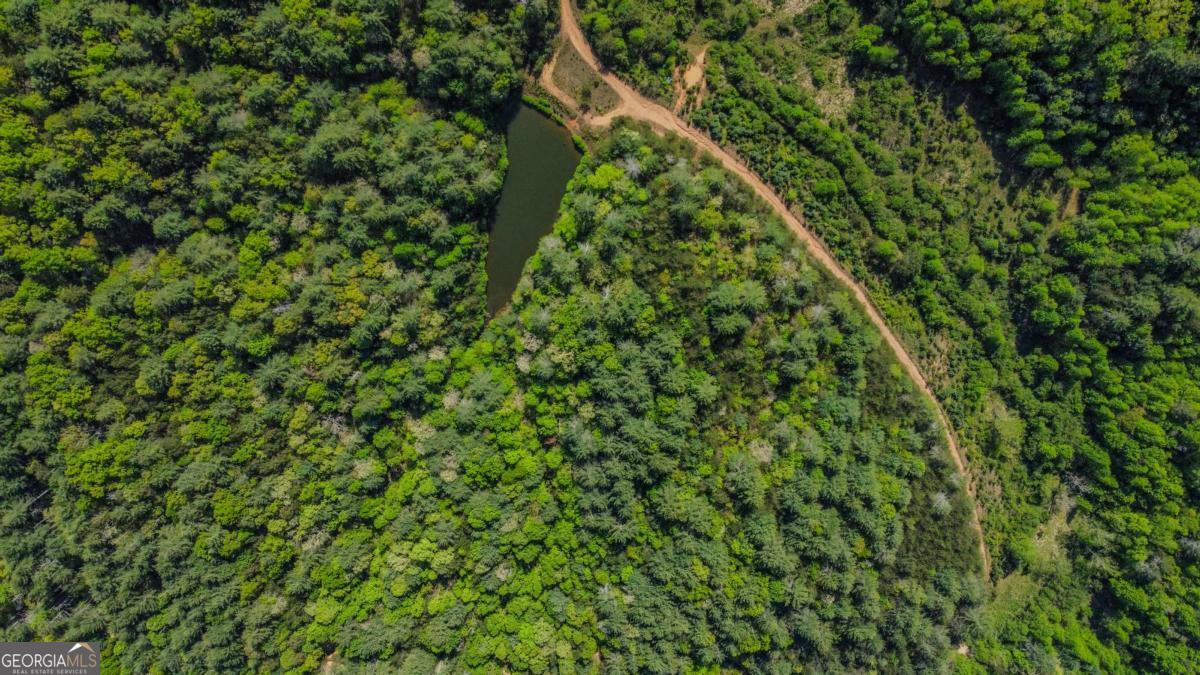 80 Acres Valley Lake Road Property Photo 8