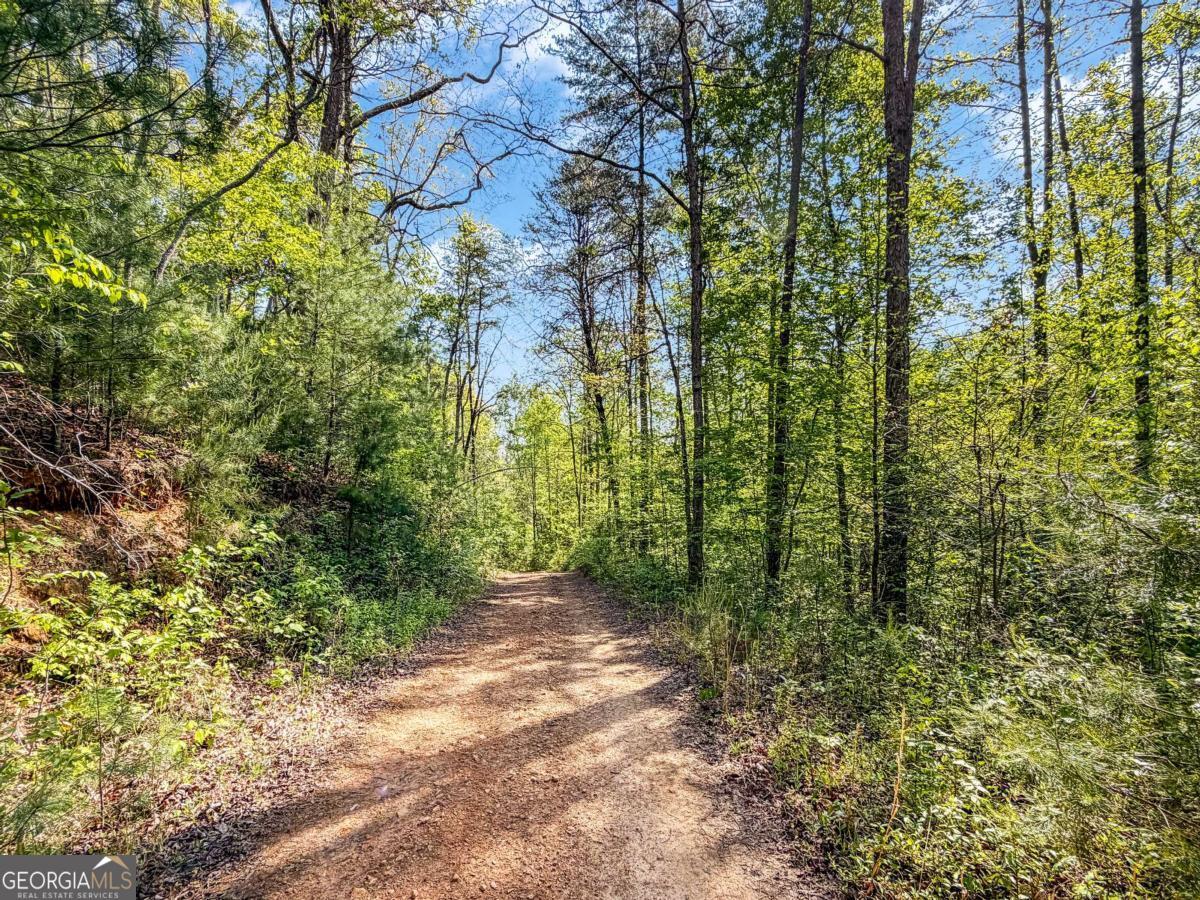 80 Acres Valley Lake Road Property Photo 9