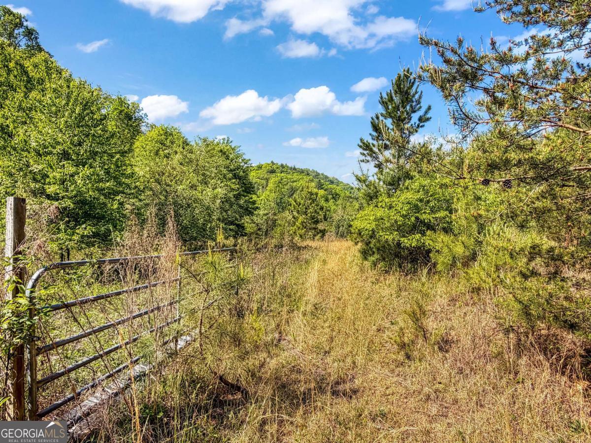 80 Acres Valley Lake Road Property Photo 10