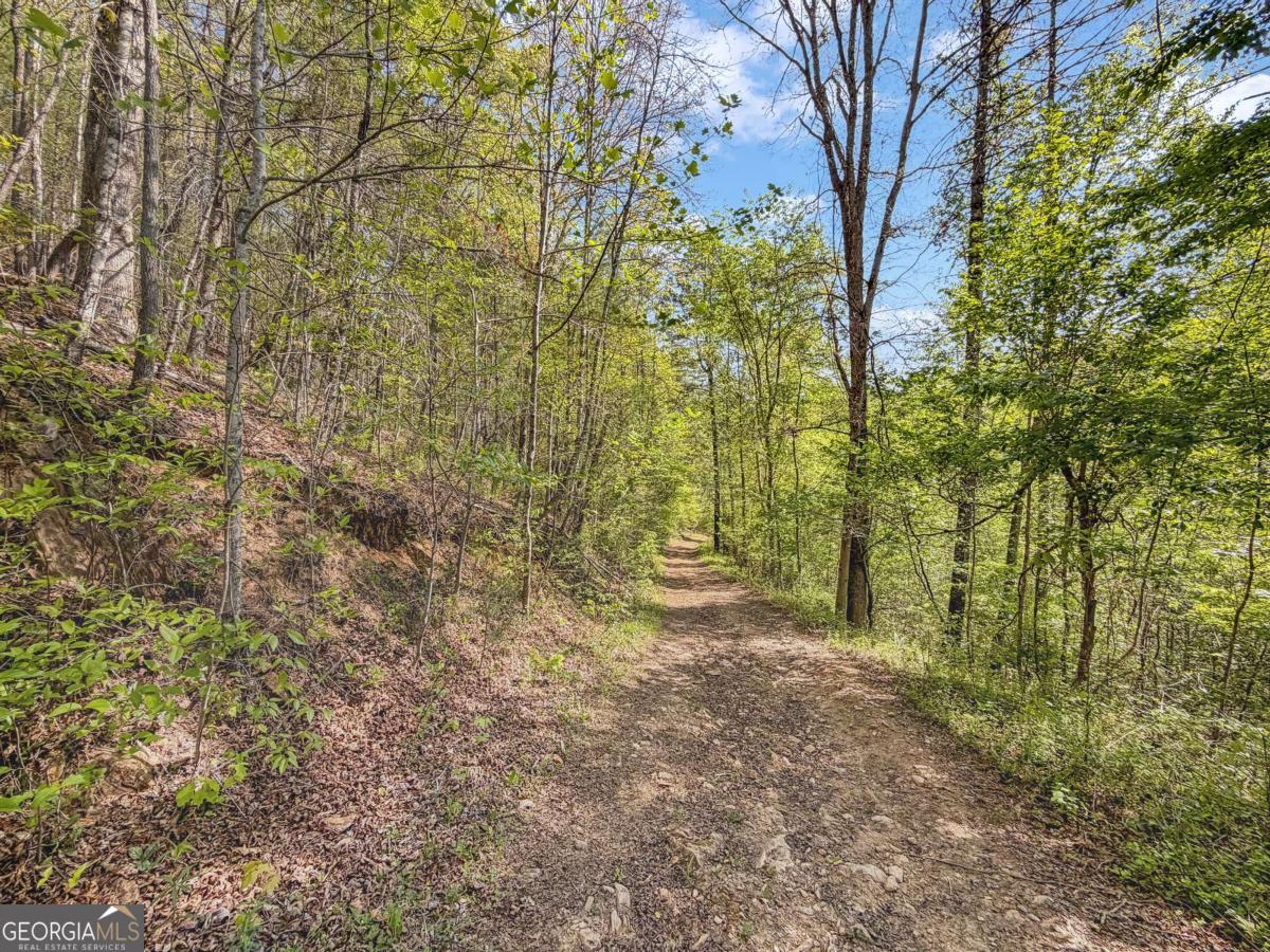 80 Acres Valley Lake Road Property Photo 11