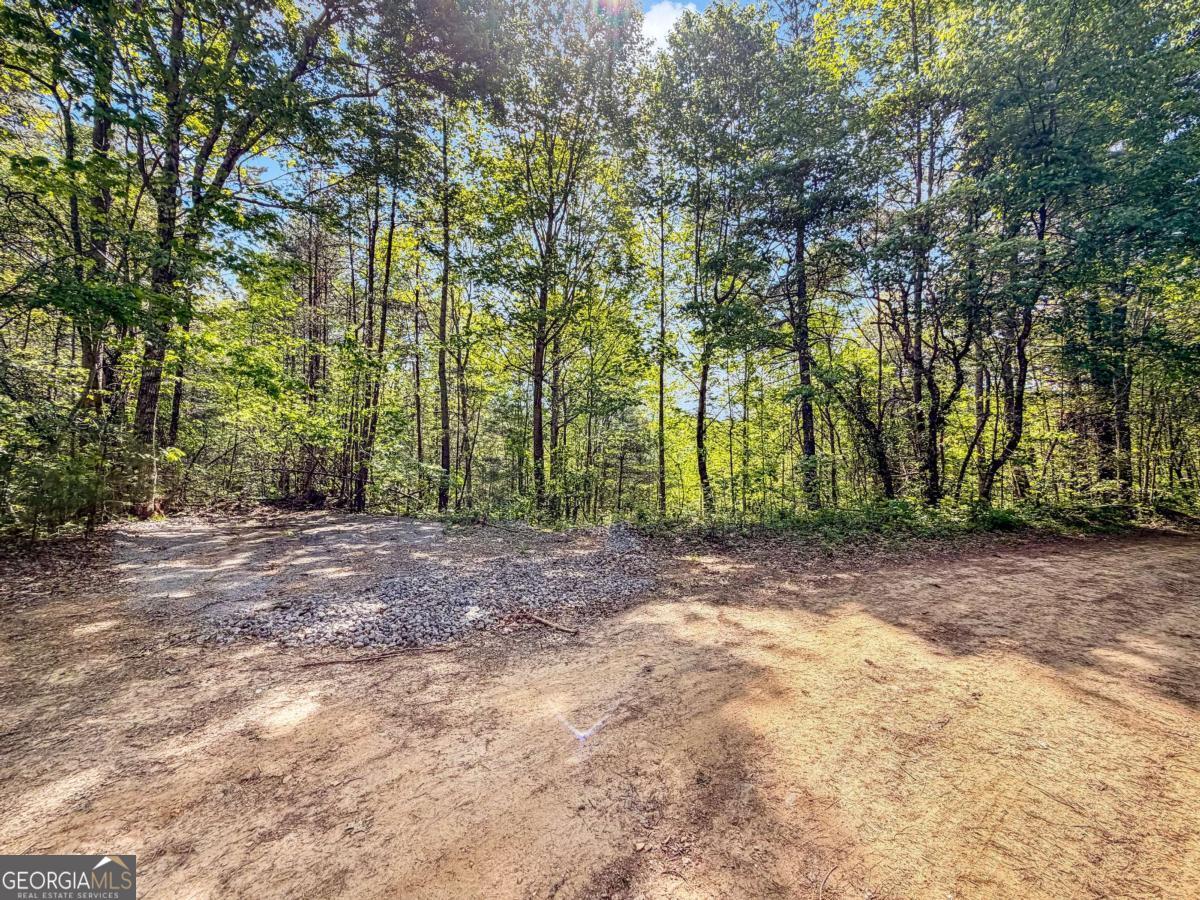 80 Acres Valley Lake Road Property Photo 14