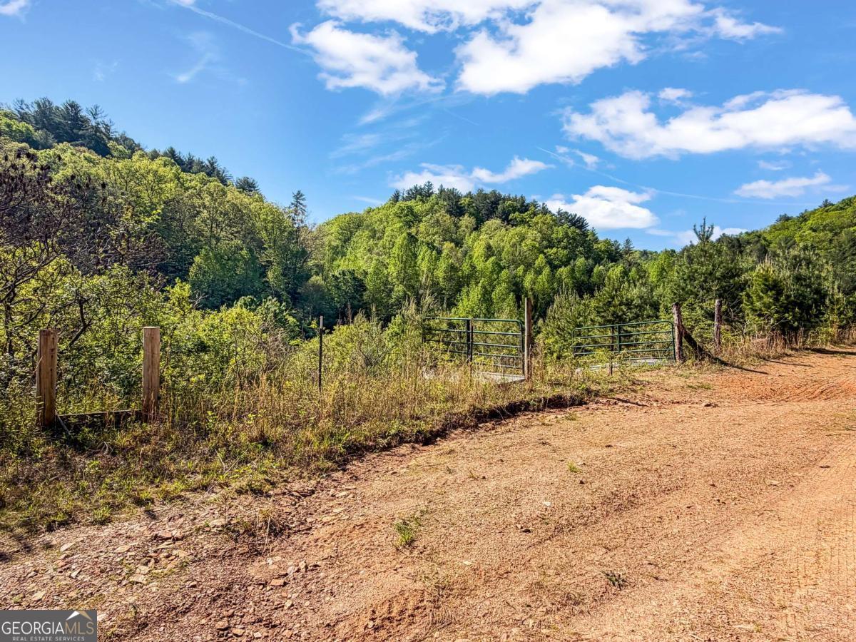 80 Acres Valley Lake Road Property Photo 15