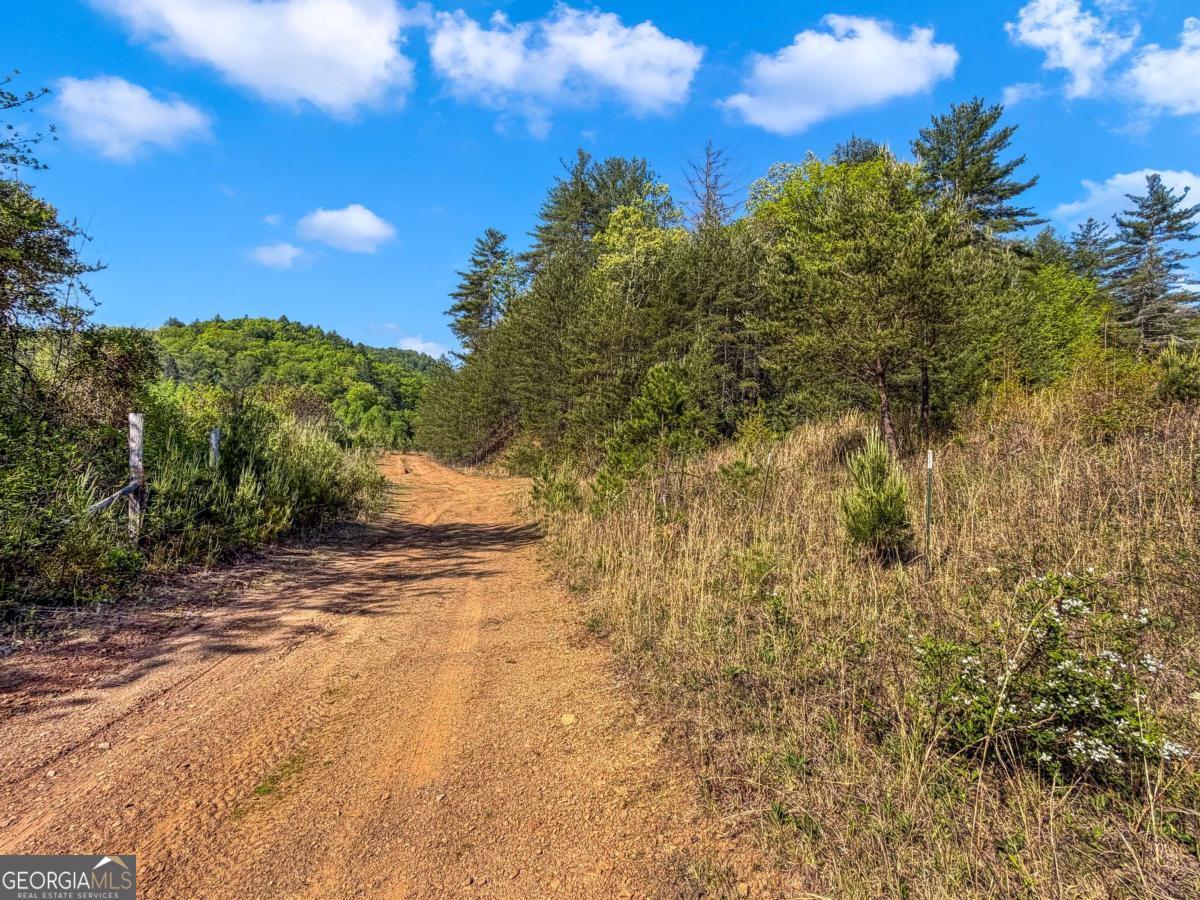 80 Acres Valley Lake Road Property Photo 23
