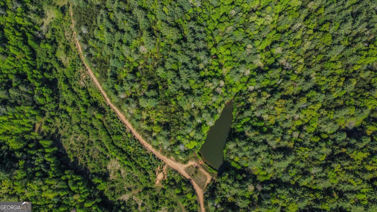 80 Acres Valley Lake Road Property Photo 25