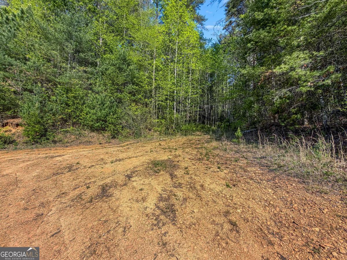 80 Acres Valley Lake Road Property Photo 26