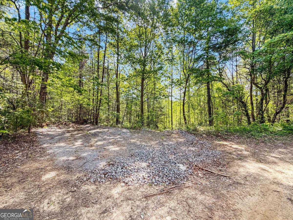 80 Acres Valley Lake Road Property Photo 27