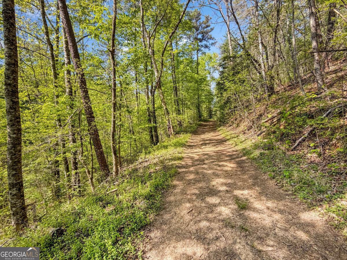 80 Acres Valley Lake Road Property Photo 28