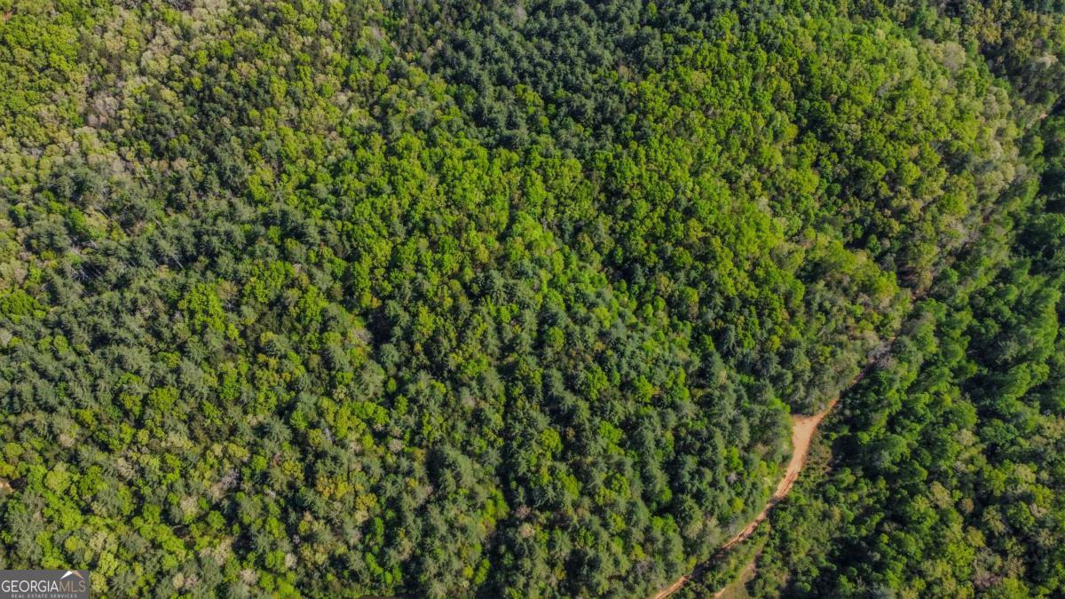 80 Acres Valley Lake Road Property Photo 31