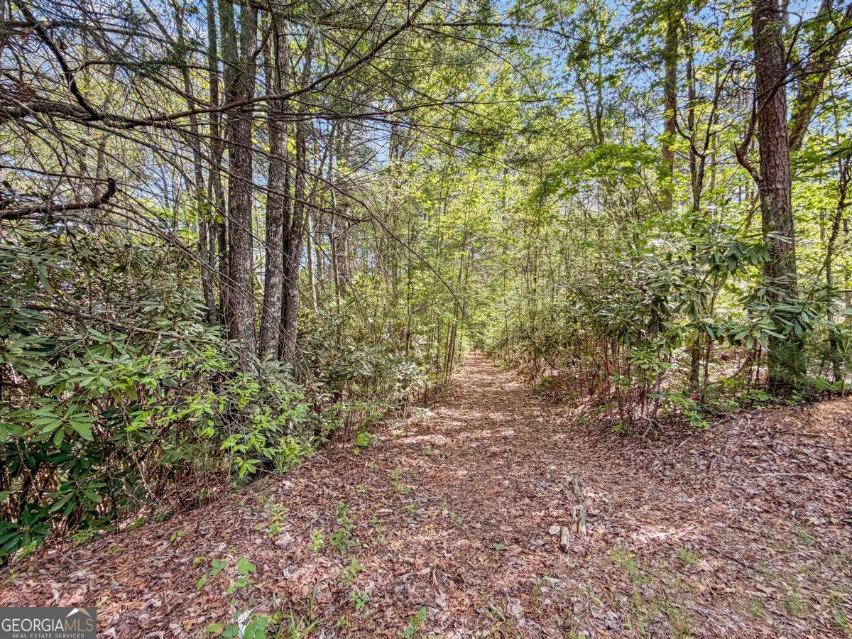 80 Acres Valley Lake Road Property Photo 32
