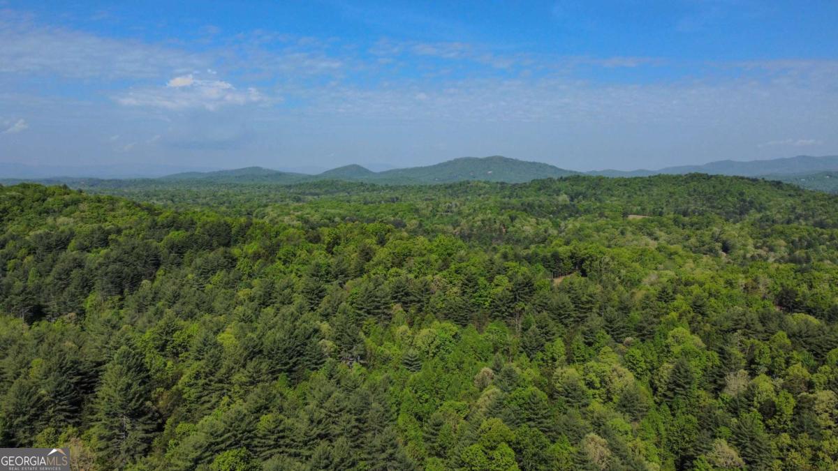 80 Acres Valley Lake Road Property Photo 33