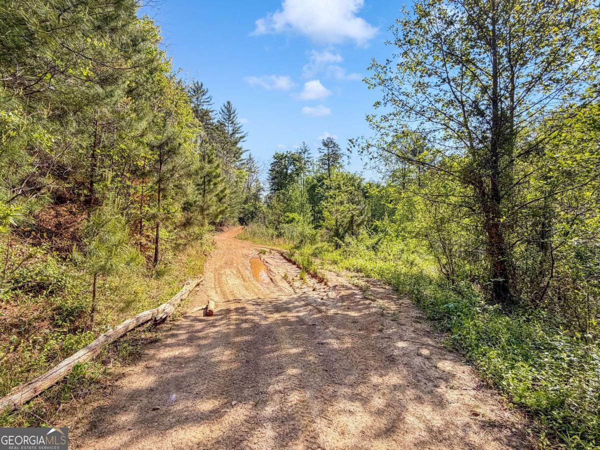 80 Acres Valley Lake Road Property Photo 34