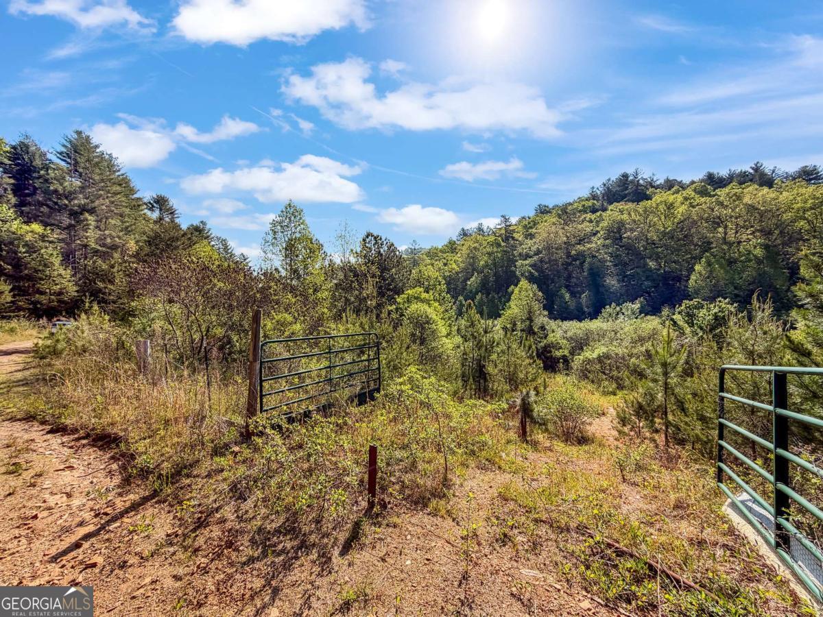 80 Acres Valley Lake Road Property Photo 35