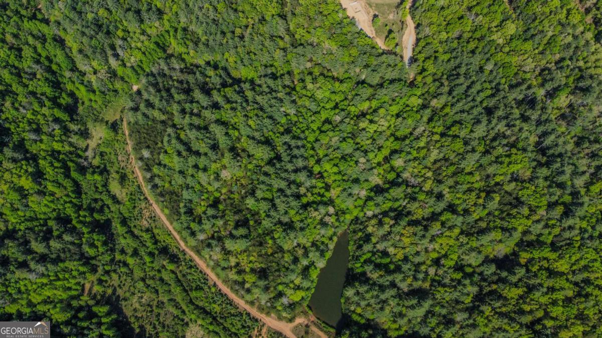 80 Acres Valley Lake Road Property Photo 37