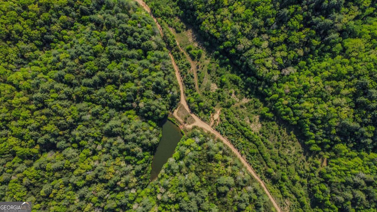 80 Acres Valley Lake Road Property Photo 38