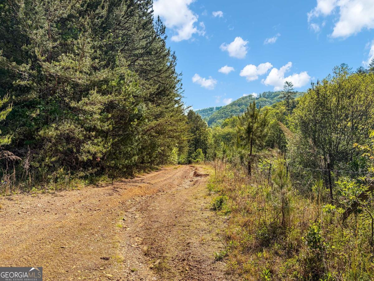 80 Acres Valley Lake Road Property Photo 41