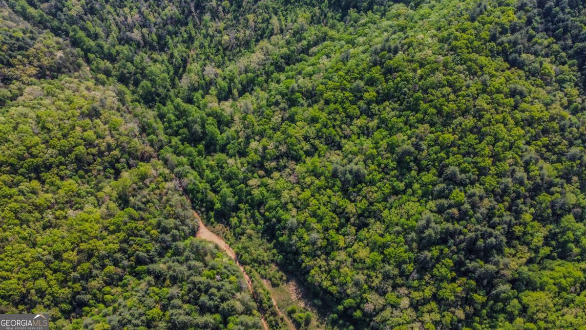 80 Acres Valley Lake Road Property Photo 42