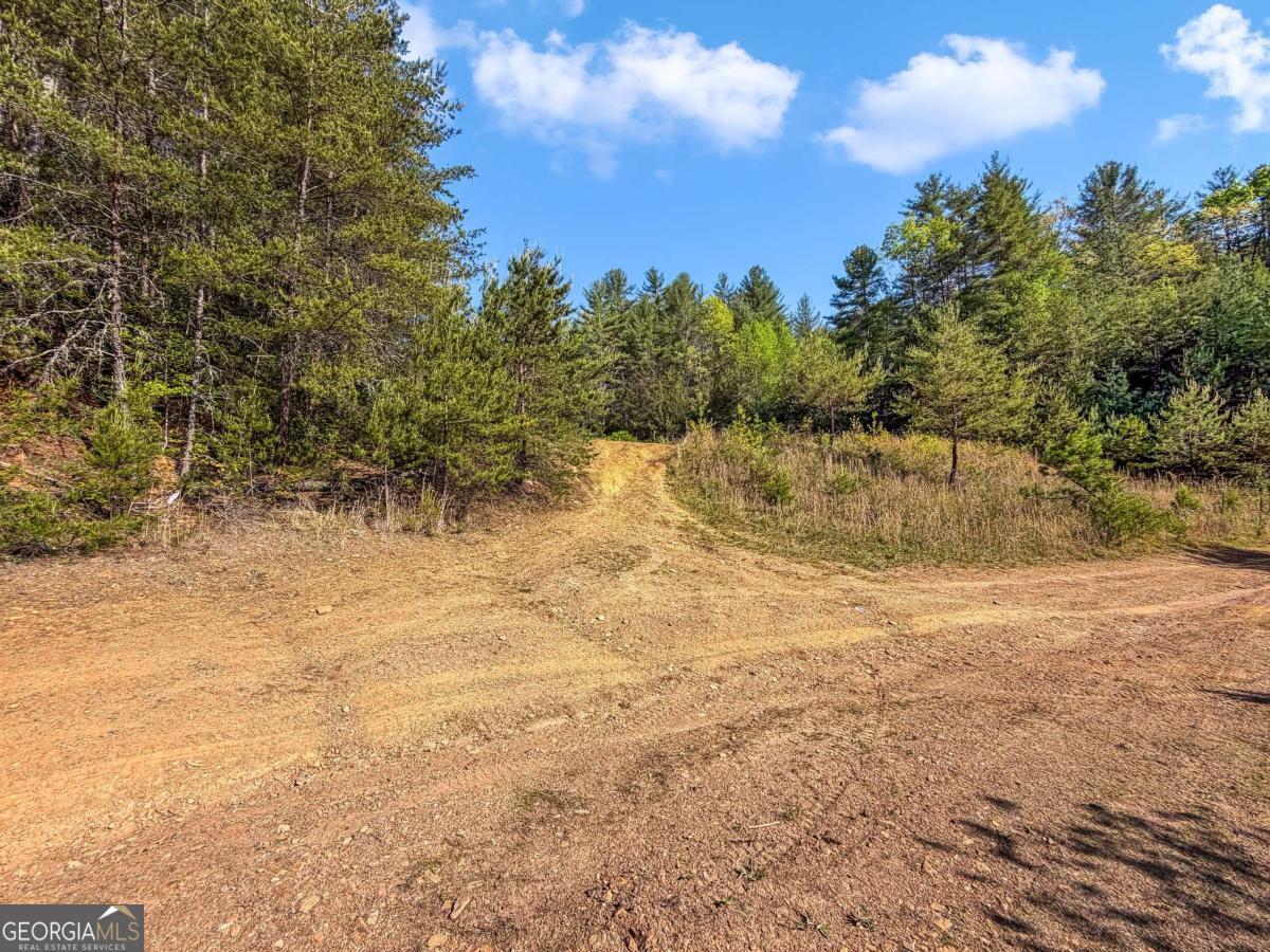 80 Acres Valley Lake Road Property Photo 43