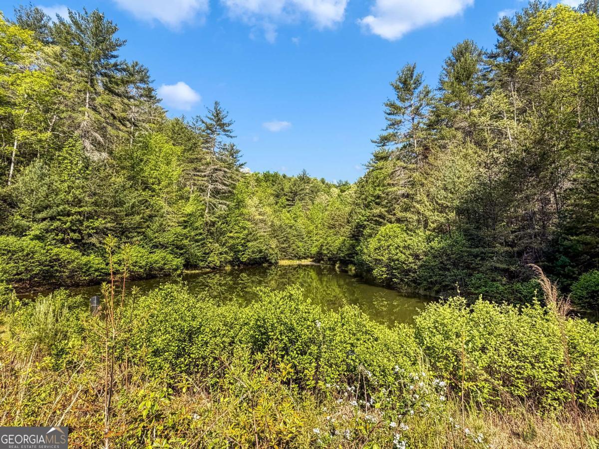 80 Acres Valley Lake Road Property Photo 44