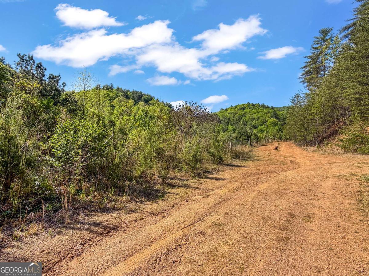 80 Acres Valley Lake Road Property Photo 45