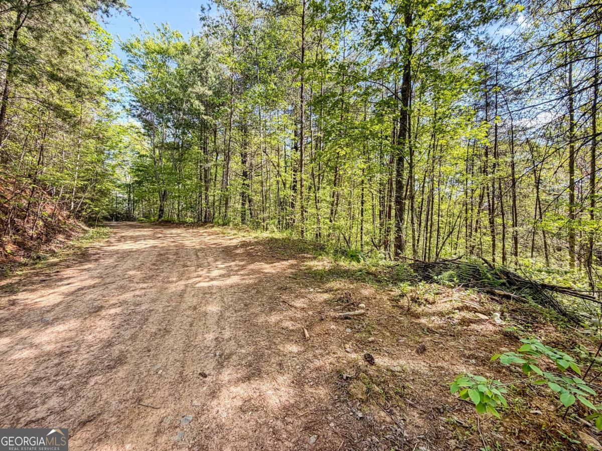 80 Acres Valley Lake Road Property Photo 46