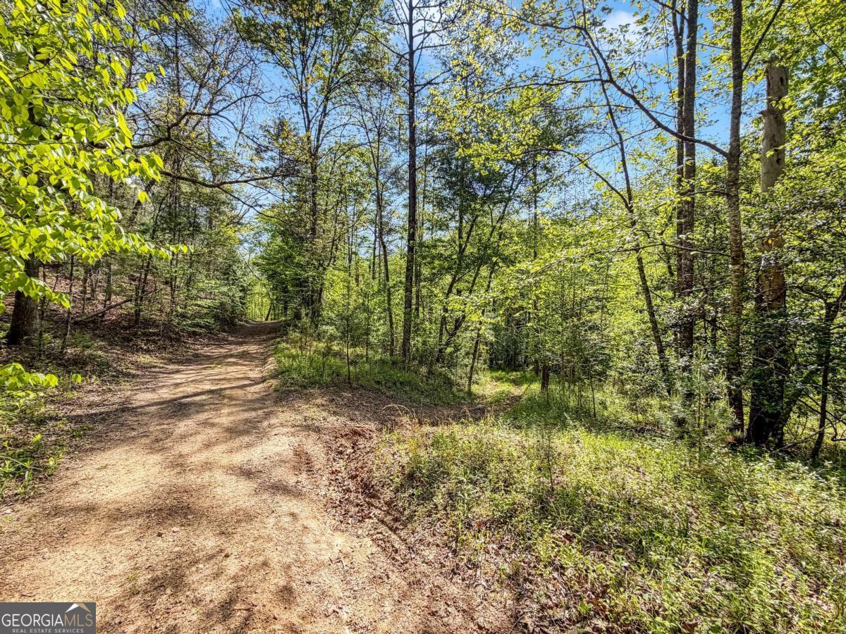 80 Acres Valley Lake Road Property Photo 48