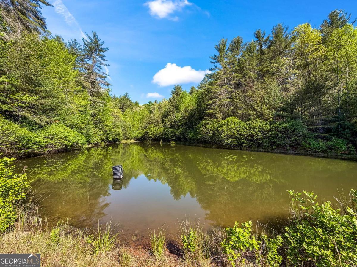 80 Acres Valley Lake Road Property Photo 49