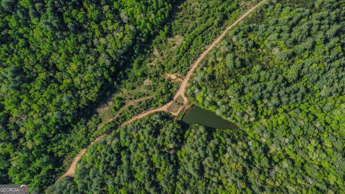 80 Acres Valley Lake Road Property Photo 50