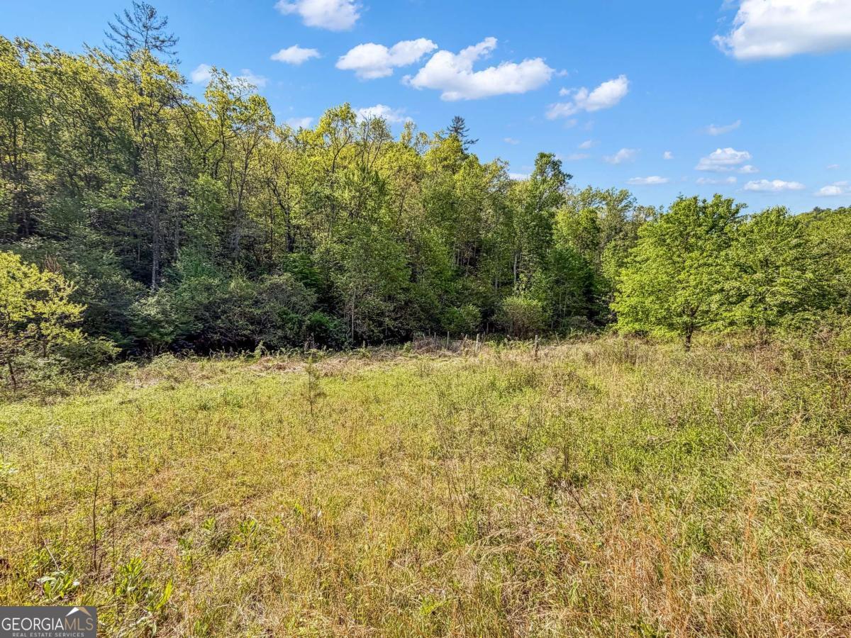 80 Acres Valley Lake Road Property Photo 51