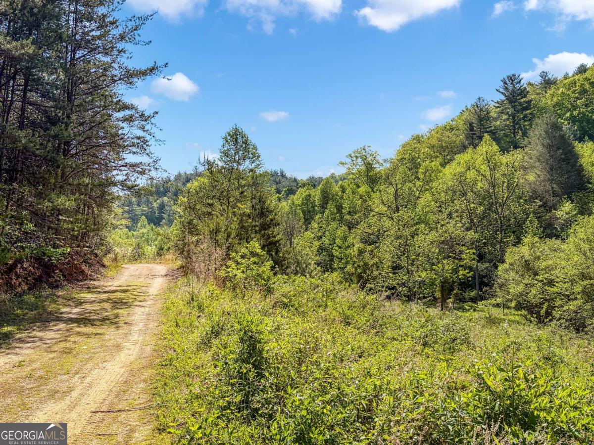 80 Acres Valley Lake Road Property Photo 52